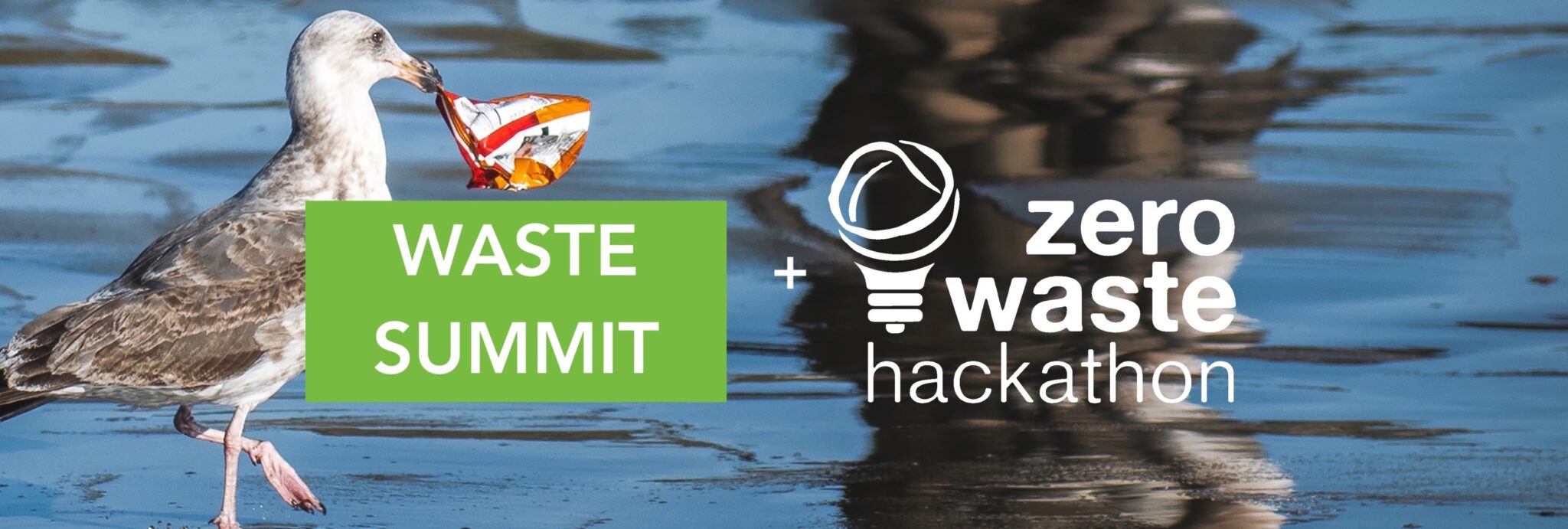 Hackathon and Waste Summit 2020 Zero Waste Washington